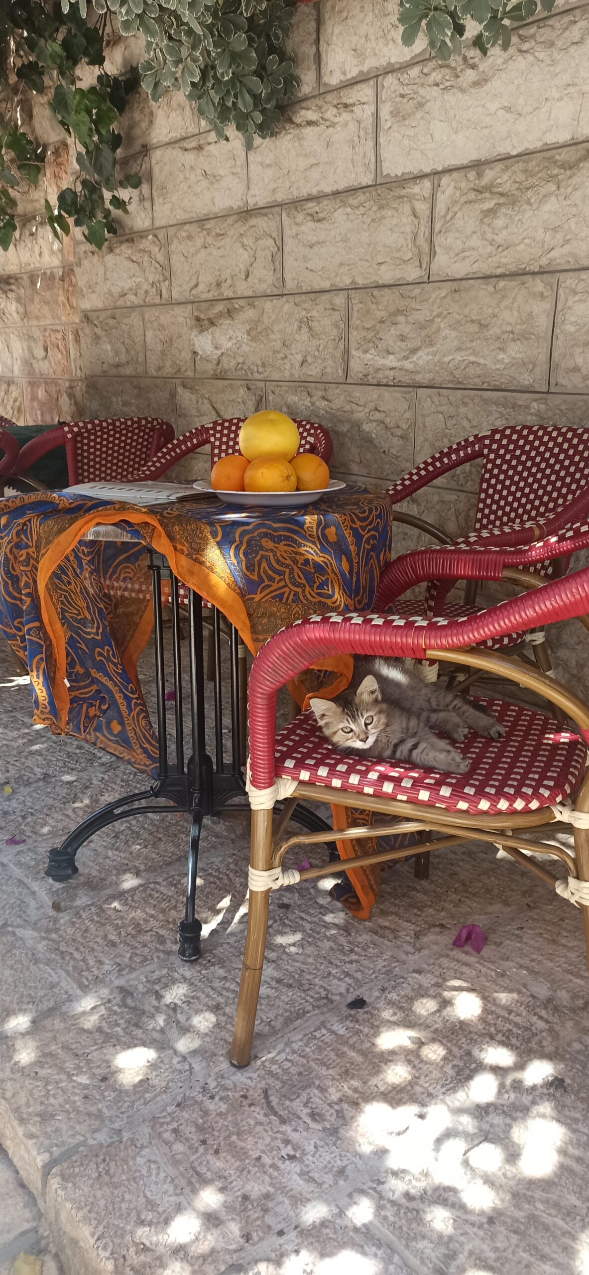 Qué ver en Jerusalén - ahoraturismo (5)