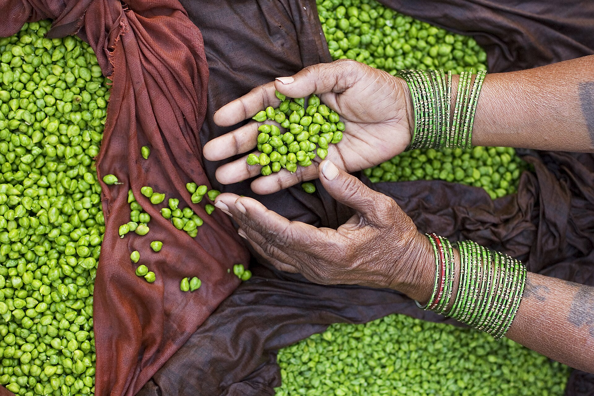 Dónde comer en Varanasi: guía de sabores de la India sagrada