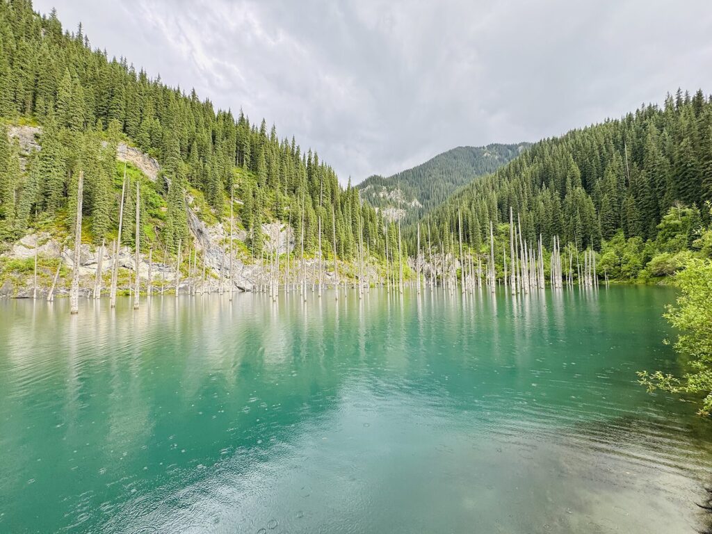 Lago Kaindy con sus troncos sumergidos, qué ver en Kazajistán