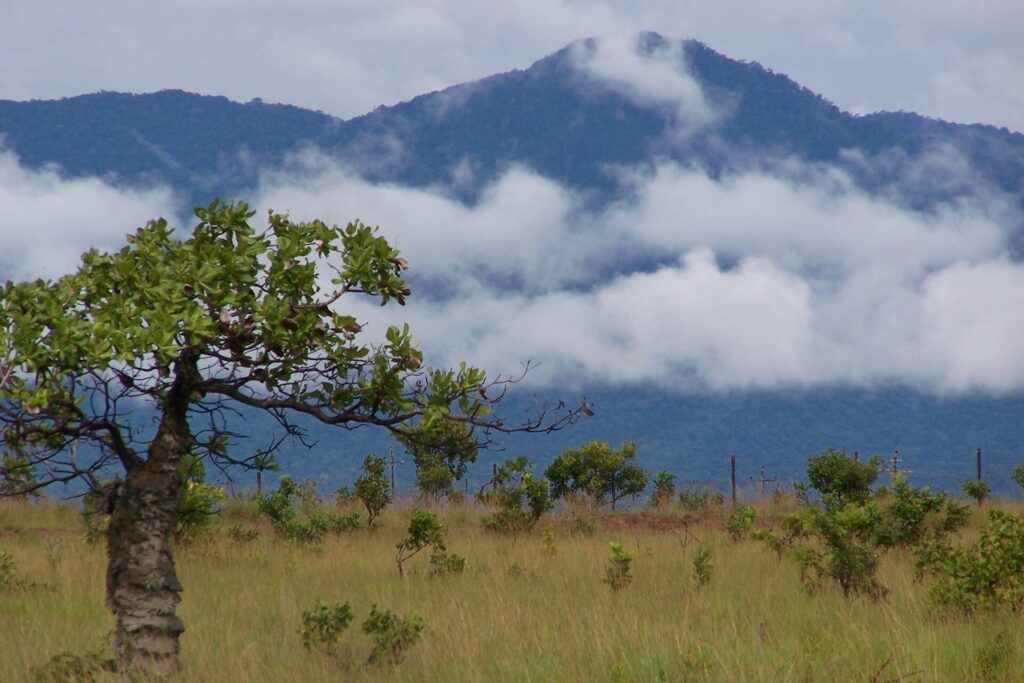 Lethem y los montes Kanuku, sede del Rodeo del Rupununi