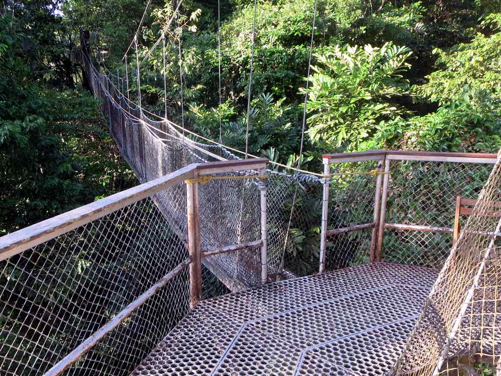 Lugares secretos de Guyana: 10 rincones fuera de las rutas turísticas