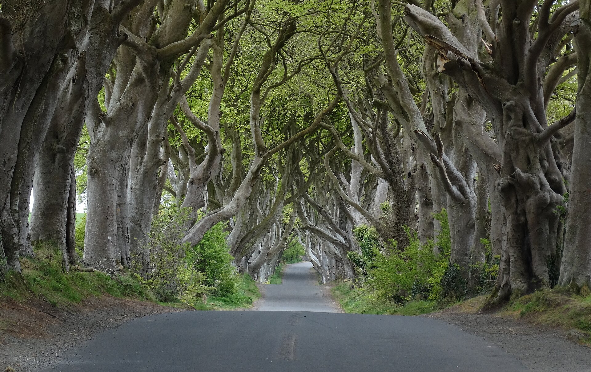Curiosidades de Irlanda del Norte: 15 datos sorprendentes que no conocías